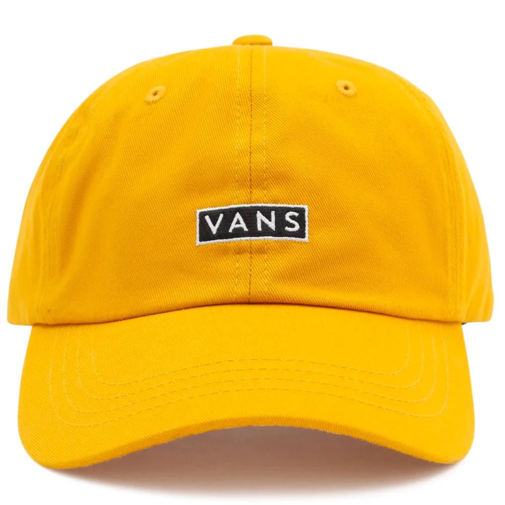 Casquette 2025 vans curve